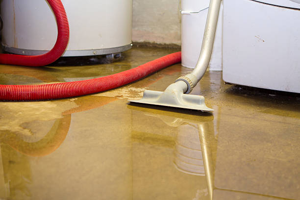  Midlothian, VA Water damage restoration Pros