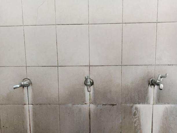 Best 24/7 water damage repair  in Midlothian, VA